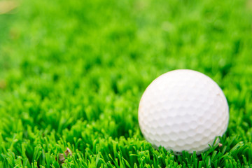 low angle of Golf ball on turf