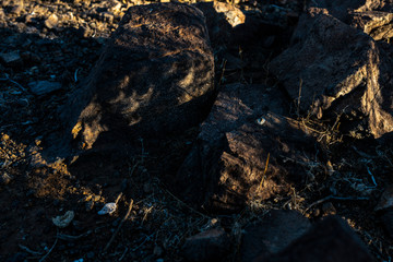Another view of the Total Solar Eclipse 2019 in Atacama Desert, Chile, mini solar eclipses in rock shadows. We can see how the sun pass through the leafs and make shadows with small Solar Eclipses