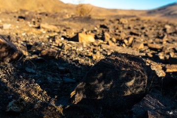 Another view of the Total Solar Eclipse 2019 in Atacama Desert, Chile, mini solar eclipses in rock shadows. We can see how the sun pass through the leafs and make shadows with small Solar Eclipses