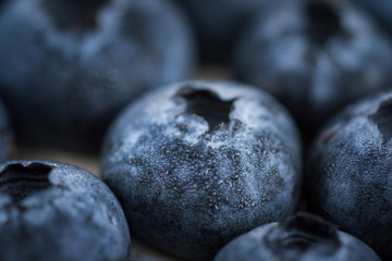 Blaubeere mit Tautropfen