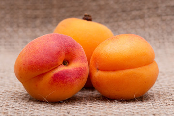 Fresh Ripe Organic Apricots on burlap background. Genus Prunus.