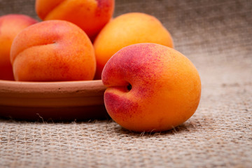 Fresh Ripe Organic Apricots on burlap background. Genus Prunus.