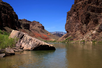 Placid stretch of the Colorado River just above Hance Rapids in Grand Canyon National Park, Arizona.