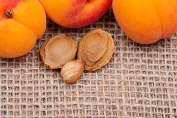 Fresh Organic Apricots and Apricot Kernels (the seed of an apricot, often called a "stone") on natural burlap background. Amygdalin. Vitamin B17.