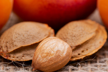 Fresh Organic Apricots and Apricot Kernels (the seed of an apricot, often called a 