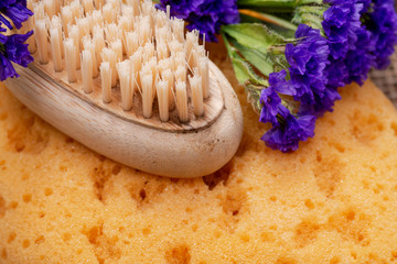 Spa Wellness Concept. Natural Foam Bath&Shower Sea Sponge, Natural bristle Wooden Brush and Dark...