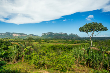 Fototapeta na wymiar Vinales Valley landscape in Cuba