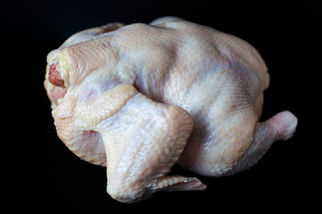 chicken broiler on a dark background, fresh raw chicken carcass 