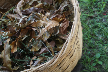 Dry leaves in a beautiful bamboo basket_2