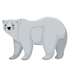 Polar bear isolated on white background. Vector graphics.