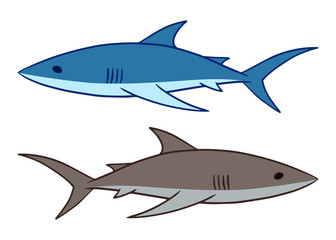 Shark vector illustration. 2 sharks swimming clip art isolated on white background.
