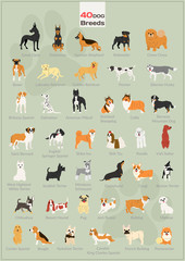 40 dogs in action illustration set