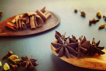 Dry Star anise clove cinnamon and cardamom on a brown wooden spatula. Natural food spices and seasonings. Tasty eating. Close-up.