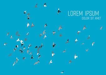 silhouette of a flock of flying birds