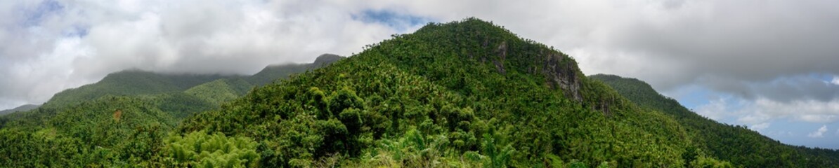 Fototapeta na wymiar Panoramic of El Yunque National Forest, Puerto Rico