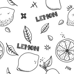 Fruits hand drawn seamless pattern. Lemons texture. Healthy and fresh food white background with black outline elements. For wrapping paper, kitchen and bedroom textile, wallpaper design and scrapbook