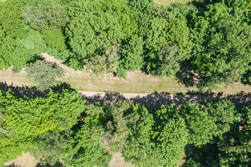 Fototapeta na wymiar park landscape aerial top view with bushy fresh trees and park road