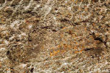 Texture of old stone background. Space for text.