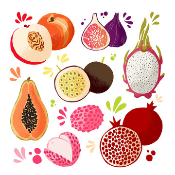 Set of colorful hand draw fruits - tropical sweet fruits isolated llustration. Peach, fig, passion fruit, pomegranate an lichee. Vector colored sketch isolated illustration. Juicy Fruit tropic