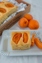 delicious home made vanilla apricot summer cake