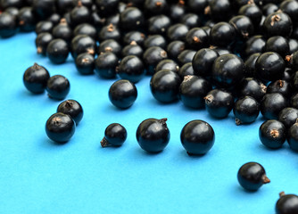 Black currant berries macro photo. Top view. Black currant on blue background.