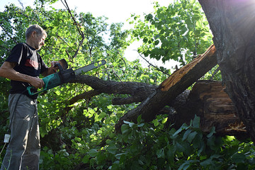 The man cuts off the branches of a broken tree.