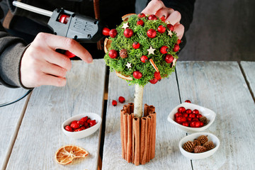 How to make beautiful Christmas decoration in tree shape with moss, cinnamon sticks and rose hip