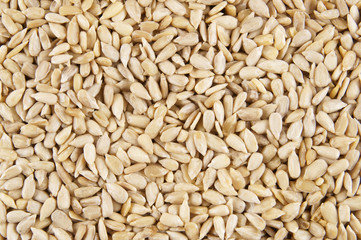 Sunflower seeds texture