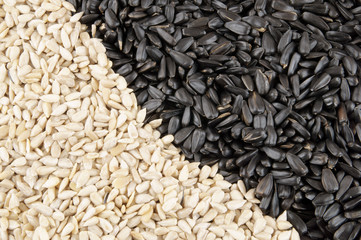 Sunflower seeds background