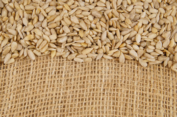 Sunflower seeds on burlap hessian sacking background