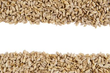 Sunflower seeds with space for text on white background
