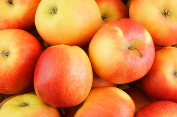 Red apples background