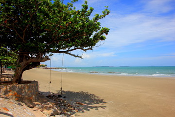 Fototapeta na wymiar Swing under the tree and sea view on the beach,Clear blue sky.