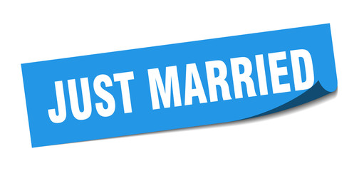 just married sticker. just married square isolated sign. just married