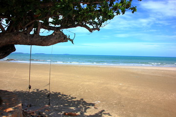 Swing under the tree and sea view on the beach,Clear blue sky.