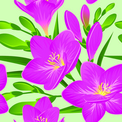 Vector pattern with blooming freesias and green buds