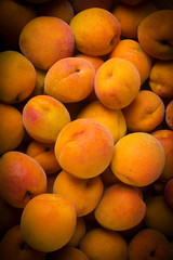 A lot of apricot close up