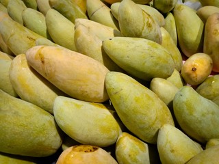 Rows of papaya fruits in the market. Papaya are edible raw and widely used in cuisine.