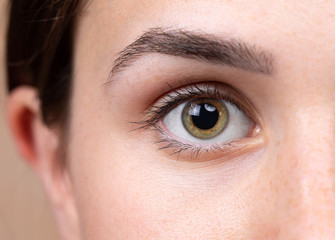 A closeup on the eye of a young Caucasian woman with greenish brown iris. Flawless skin complexion beneath the eye after successful plastic surgery.