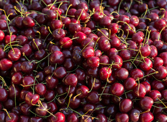 Fresh sweet cherry texture, wallpaper and background. Flat-lay of wet sweet cherries, top view. Summer food or local market produce concept