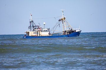 a shrimp cutter on the north sea