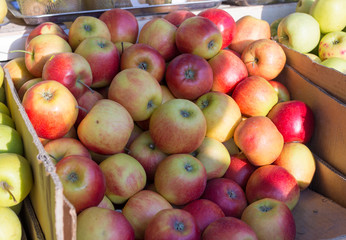 apples on the counter in the market