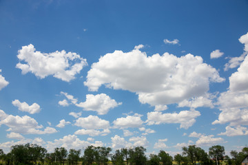 Clouds in the bright summer sky with trees