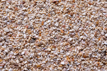 An extreme close up view on small grains of colorful sand on the beach. Textured background filling the frame.