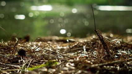 ground and water
