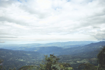 Naklejka premium landscape