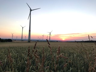 Windmills on a field at a nice sunset