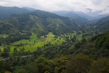 Naklejka na ściany i meble View of Cocora valley from Mirador Alto De La Cruz in Salento in Colombia