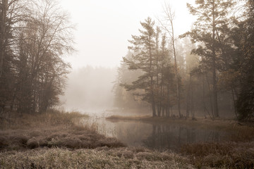 Obraz na płótnie Canvas River landscape in a foggy morning