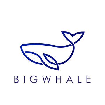 Simple elegant monoline whale logo design.
